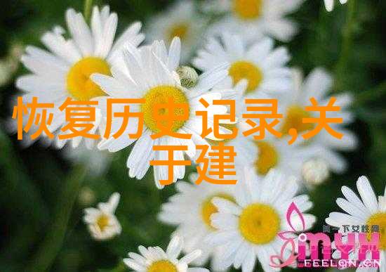 收藏过程中小四郎是否会对作品进行修复或者保养以保持其原有的价值和美感