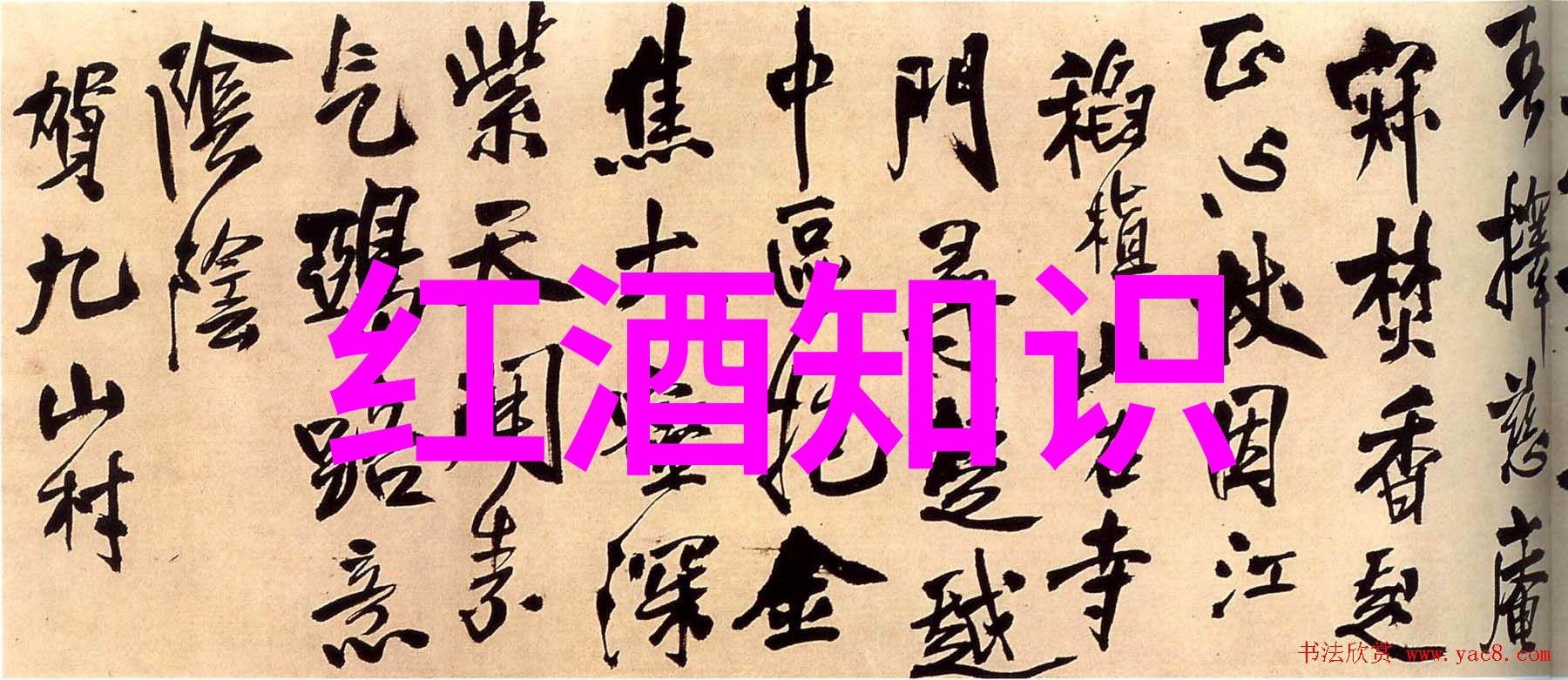 主题我来告诉你哪些国家是红酒的强人