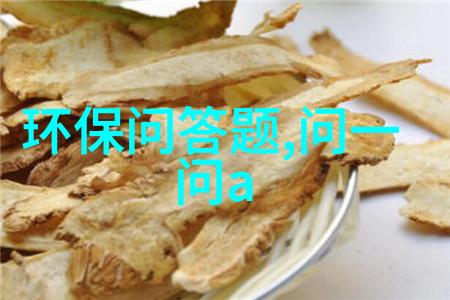 中学历史教学园地 - 回望时光铸就记忆中学历史教学园地的探索与实践