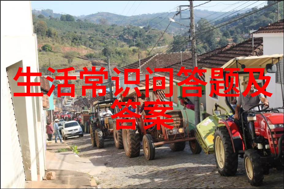 娇宠成瘾揭秘那些无法自拔的爱犬家