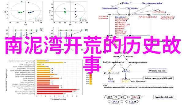 查看我的历史记录时间的回音