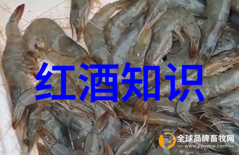 上海附近省份旅游景点-探索江南古韵上海周边美丽省份的旅行指南