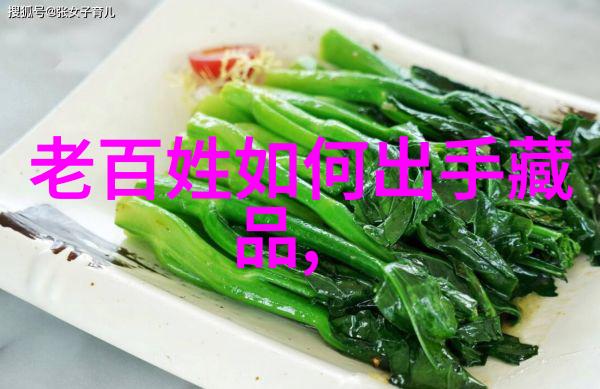 传说中的守护者火焰与冰霜的对决