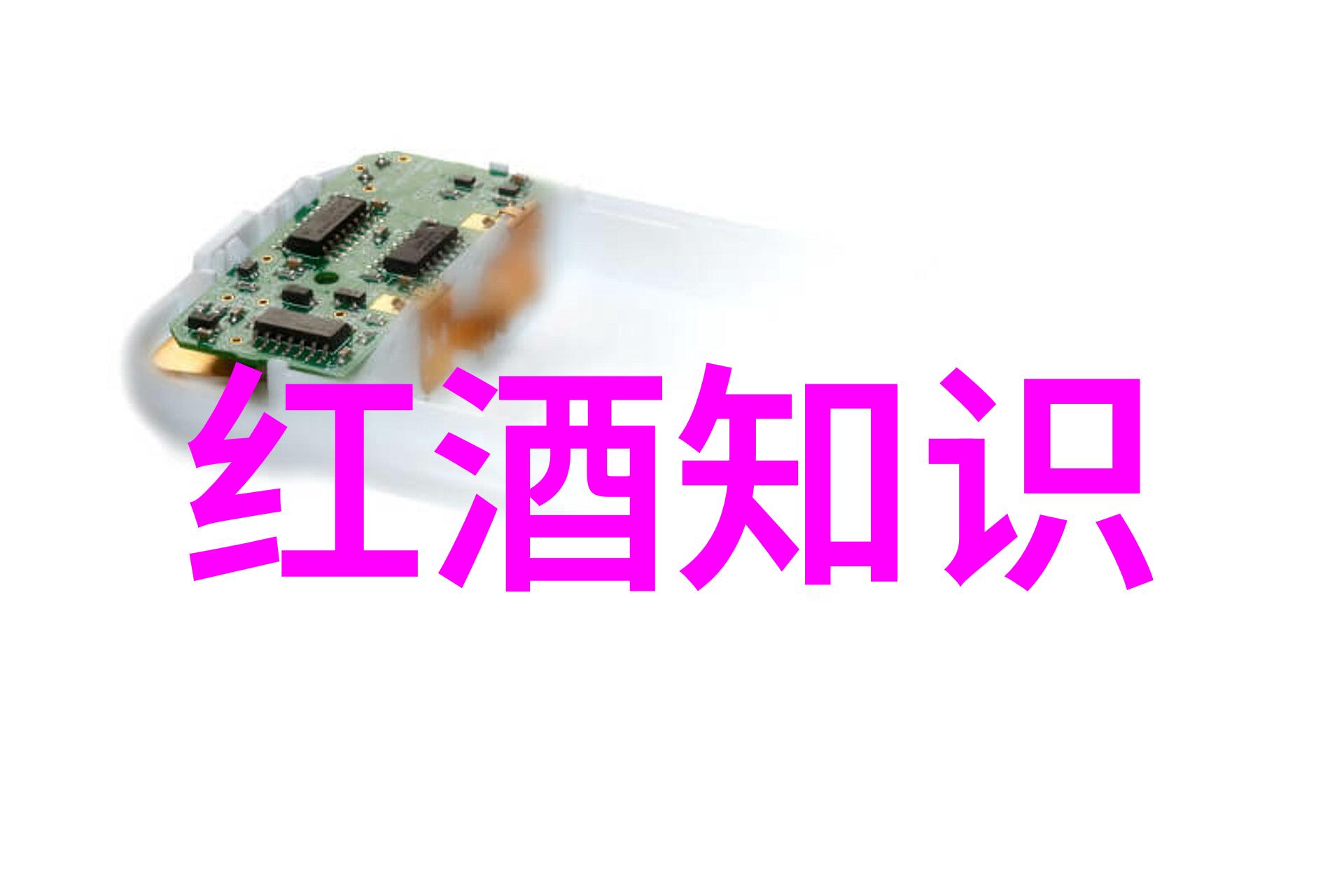回忆2008我的大学生时代
