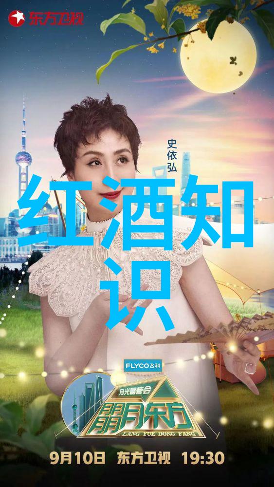 2023楚天学者 - 梦想启航探索未来教育的新篇章