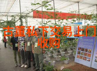 周边探秘寻踪百里风情之旅