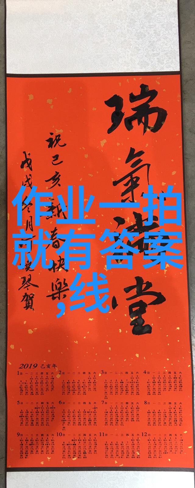 全球最美猫咪独家拍摄的珍贵图片集
