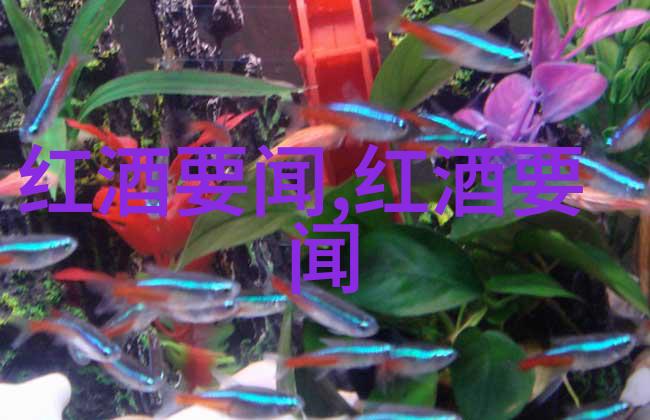 2022年全球赤霞珠大师赛猫咪品种鉴定网站揭秘最优葡萄酒