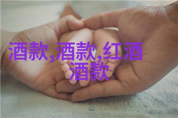 葡萄酒与笑声交响曲法国的美酒与幽默故事