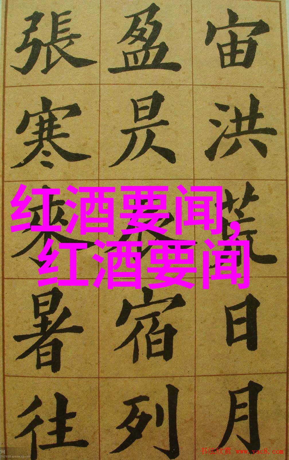 喵呜辉煌猫咪的珍贵宝藏