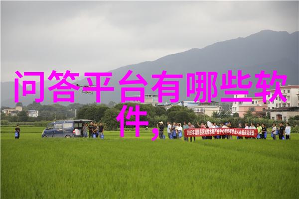 T是如何在P身上发泄的情感宣泄与人际关系中的表达方式