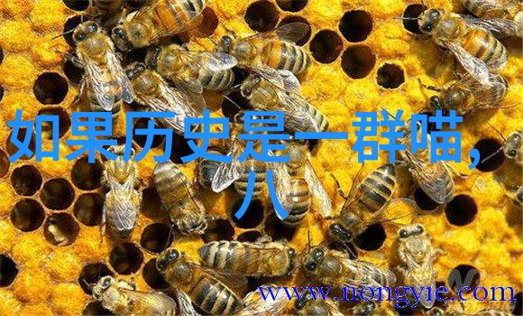 珍藏中国金融艺术第五套人民币收藏指南