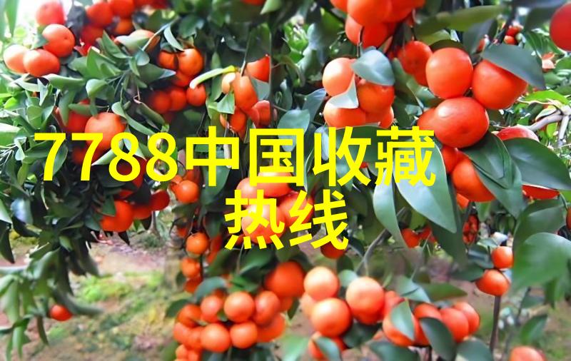 探索收藏界杂志揭秘那些隐藏的艺术宝藏