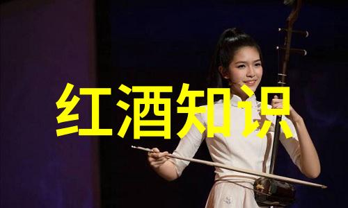 法国葡萄酒之乡波尔多的醇香篇章