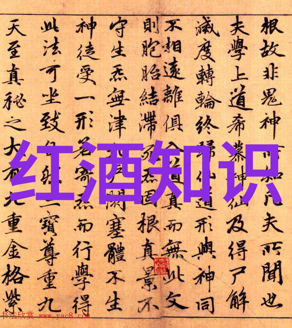 法国葡萄酒的巅峰之地波尔多和白朗基雅克的传奇故事