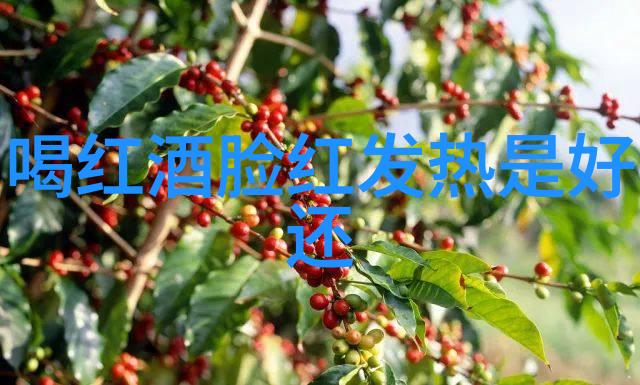 神秘庄园的新篇章幻境之门今朝开启