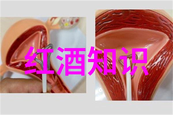 红酒什么味道好喝酒知识
