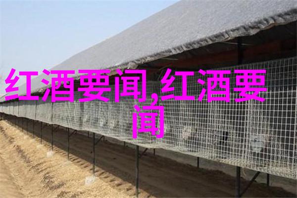 无本付费的奇迹上门交易的神秘之旅