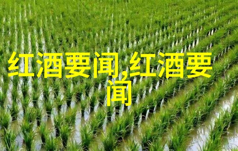 法国葡萄酒经典重现2016年帕朗德干红的醇香回忆