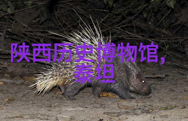 唐代酒文化与诗歌的交融之美