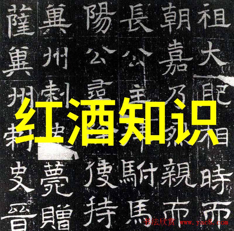 在全球范围内各国对好干红葡萄酒的生产规范有何不同之处