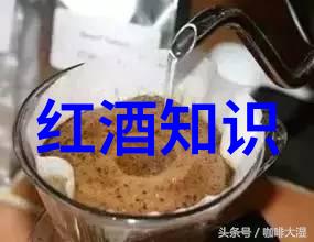 人性光辉下的奇妙邂逅另类友谊探秘