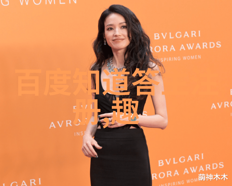 南方向阳的金毛寻回猫咪