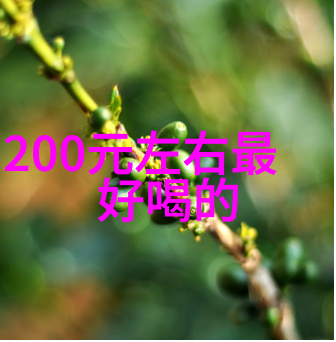 如何正确地进行红酒煮沸的过程