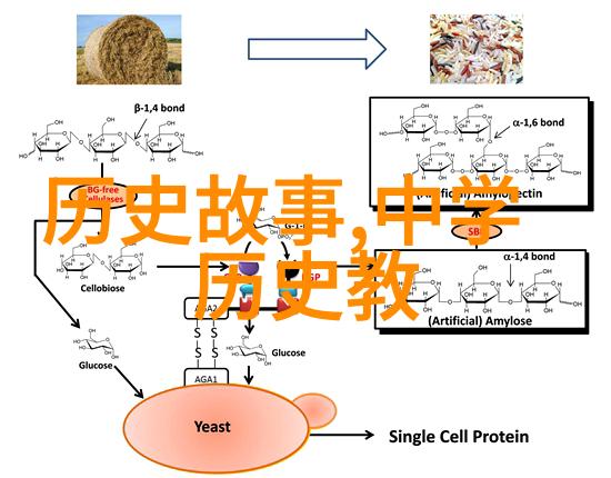 深圳周边三日游探索珠江口的美丽秘境