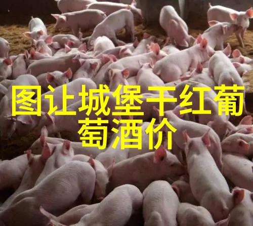 阿根廷葡萄酒之旅探索马德拉斯和米特拉的风情
