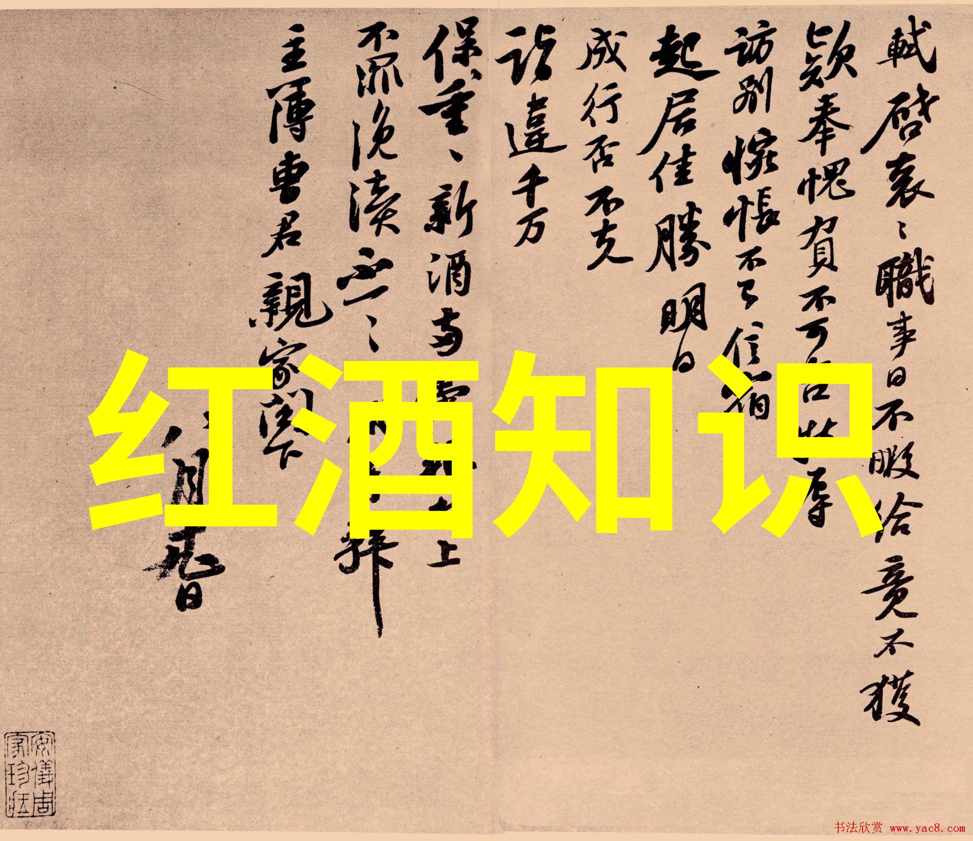 法国红酒之美一场香气与色彩的交响乐