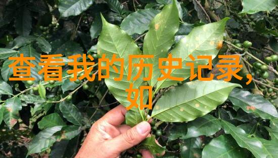 绿茵茵田园小院奇缘的金钱之旅