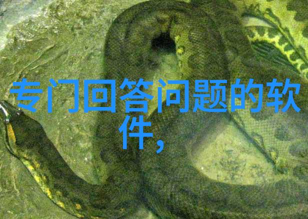 中世纪庄园分布密度-封建领地的布局与资源分配