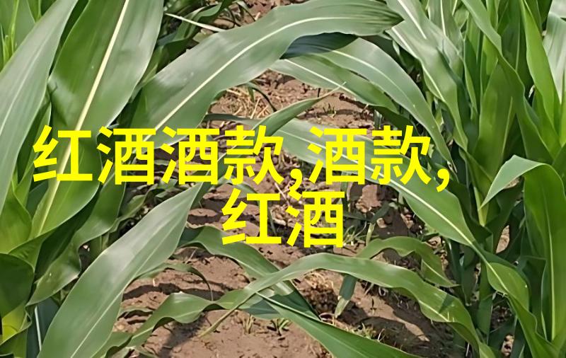 绿色生态如何打造可持续的农产品产区