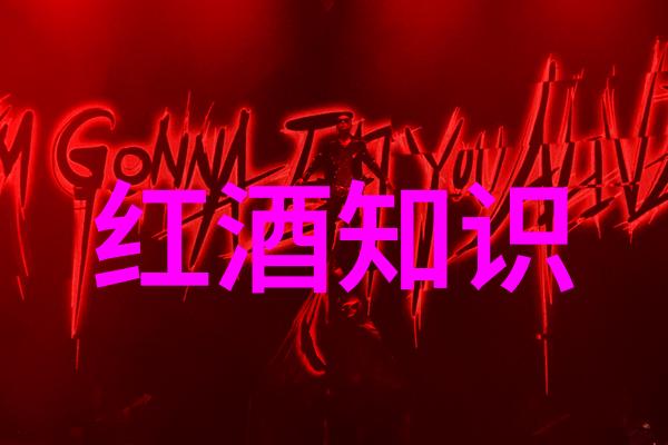 波尔多葡萄酒的精选之旅波尔多产地红酒种类大全