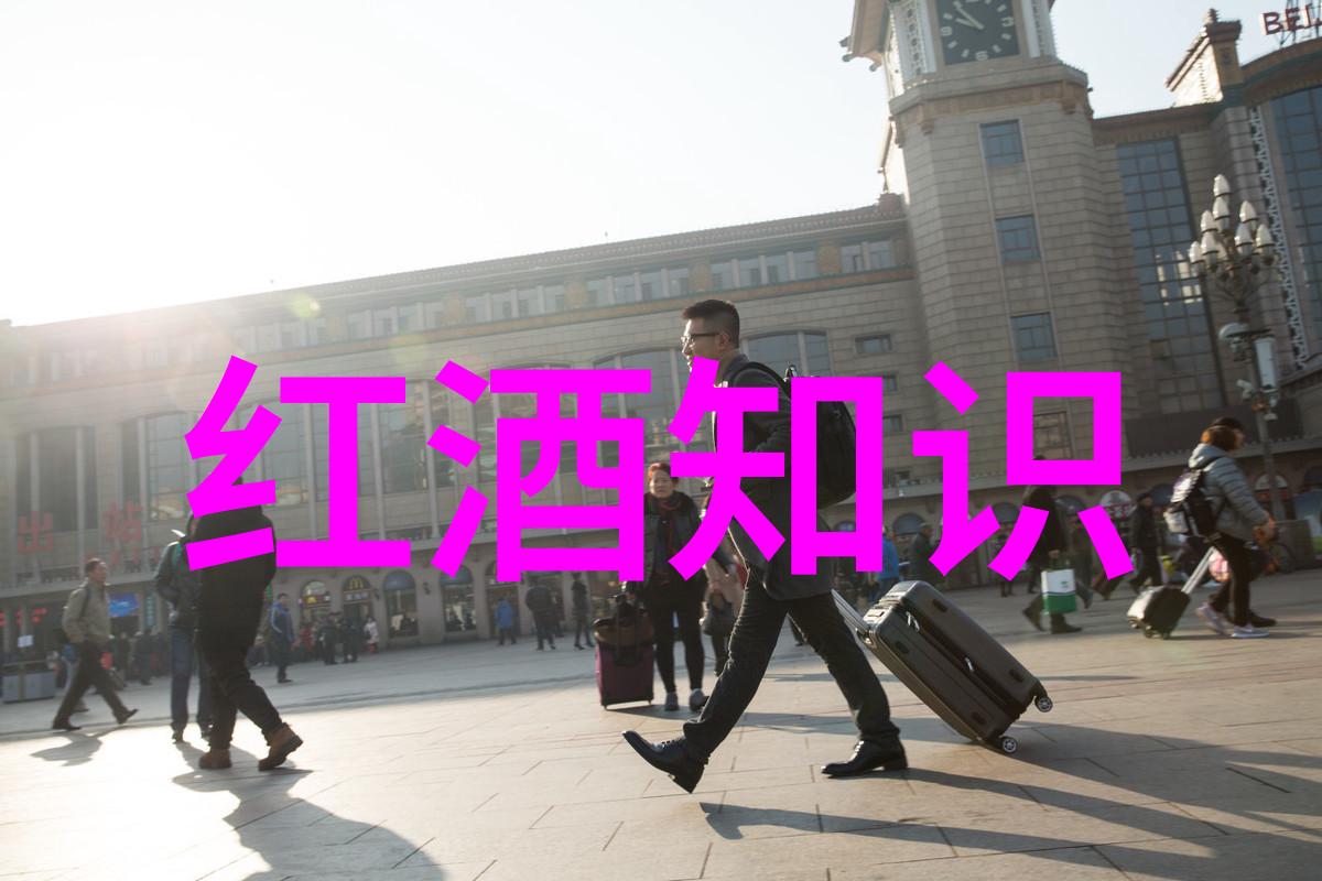 西班牙葡萄酒之旅探索托罗萨里奥哈和瓦莱斯坦的佳酿