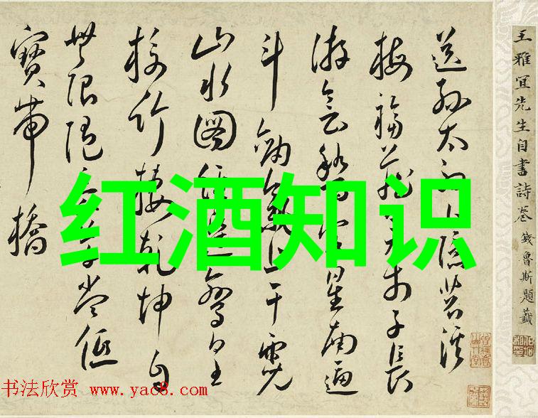 我和猫咪的故事揭秘猫咪种类从小精灵到大美男