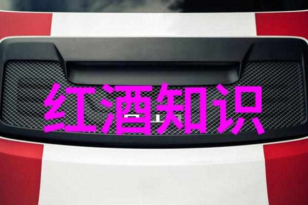 法国最大的葡萄酒产区我在波尔多的葡萄酒冒险体验欧洲的美味之冠