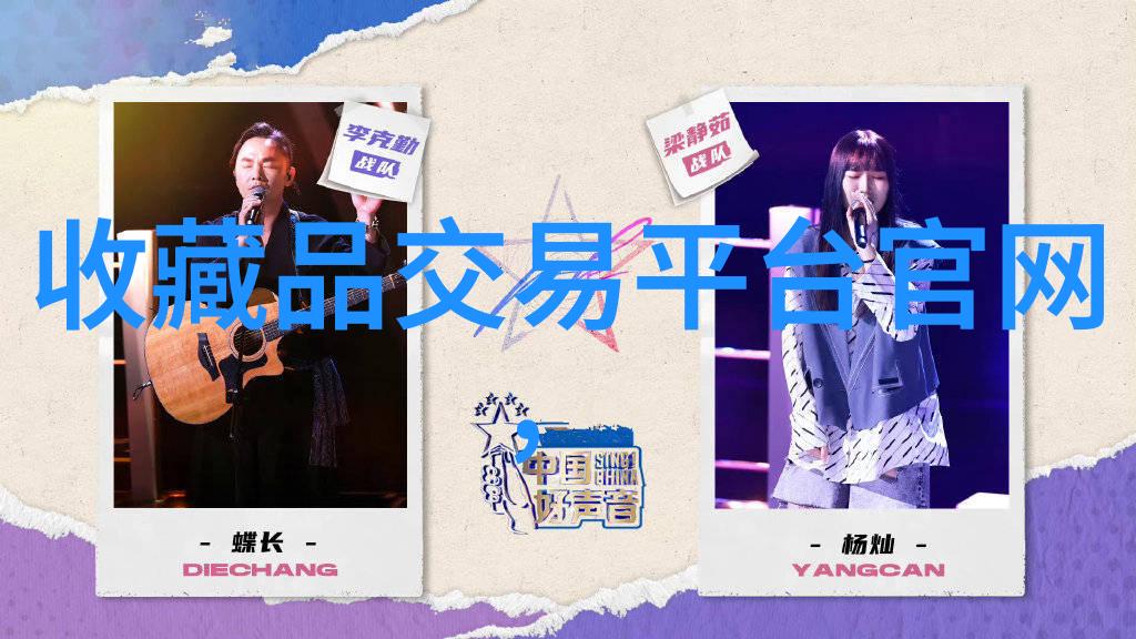 藏宝图上的收藏功能穿梭时空寻宝指南