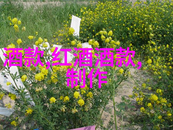 旅游团组织与文化体验的交互研究探索集体旅行在传统习俗与现代消费观念中的角色