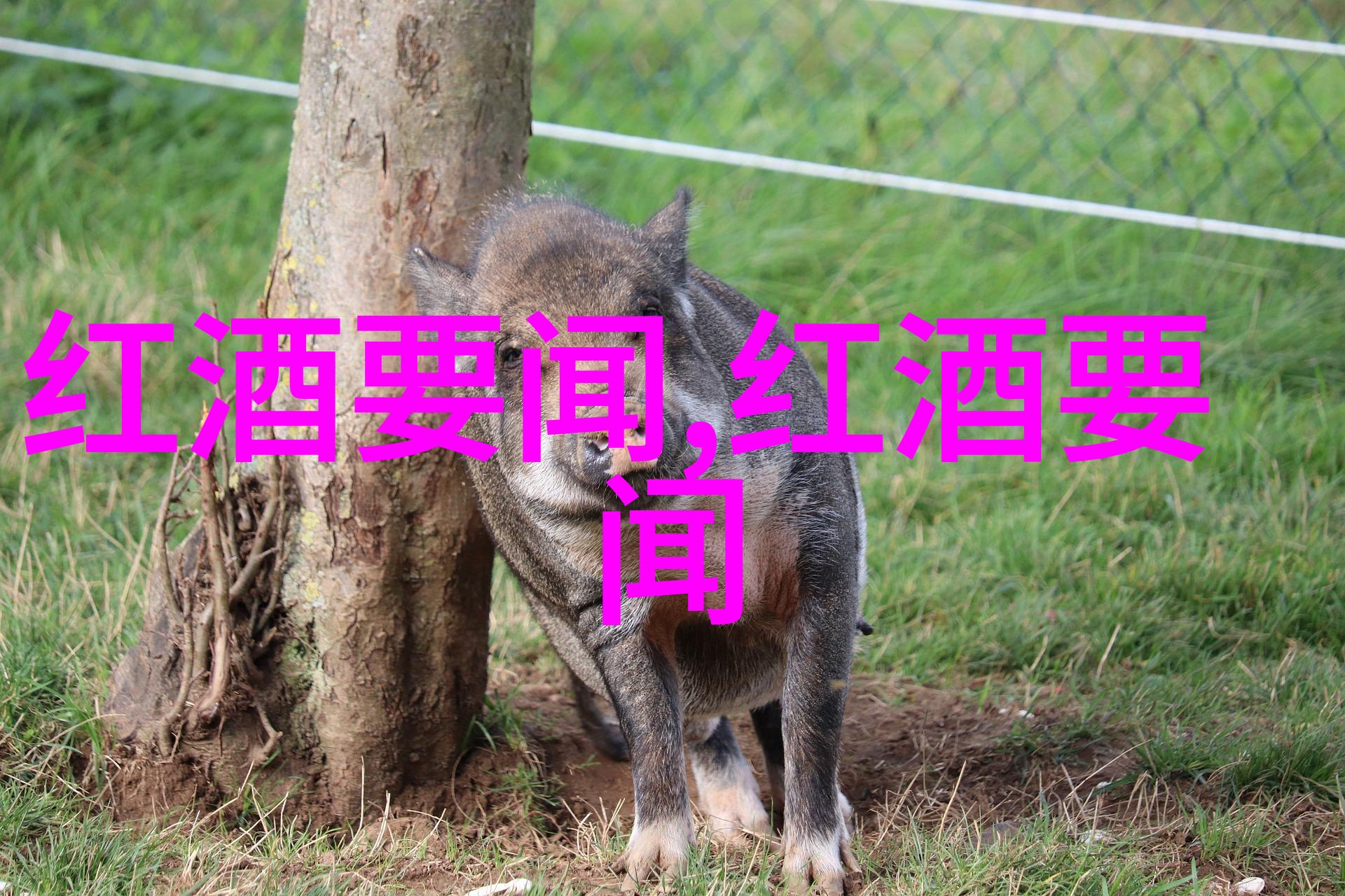 探秘古代智者一堂四年级历史人物故事课