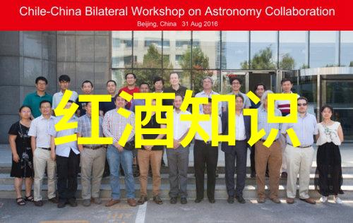 葡萄酒生产波尔多产区发展新篇章传统与创新并进