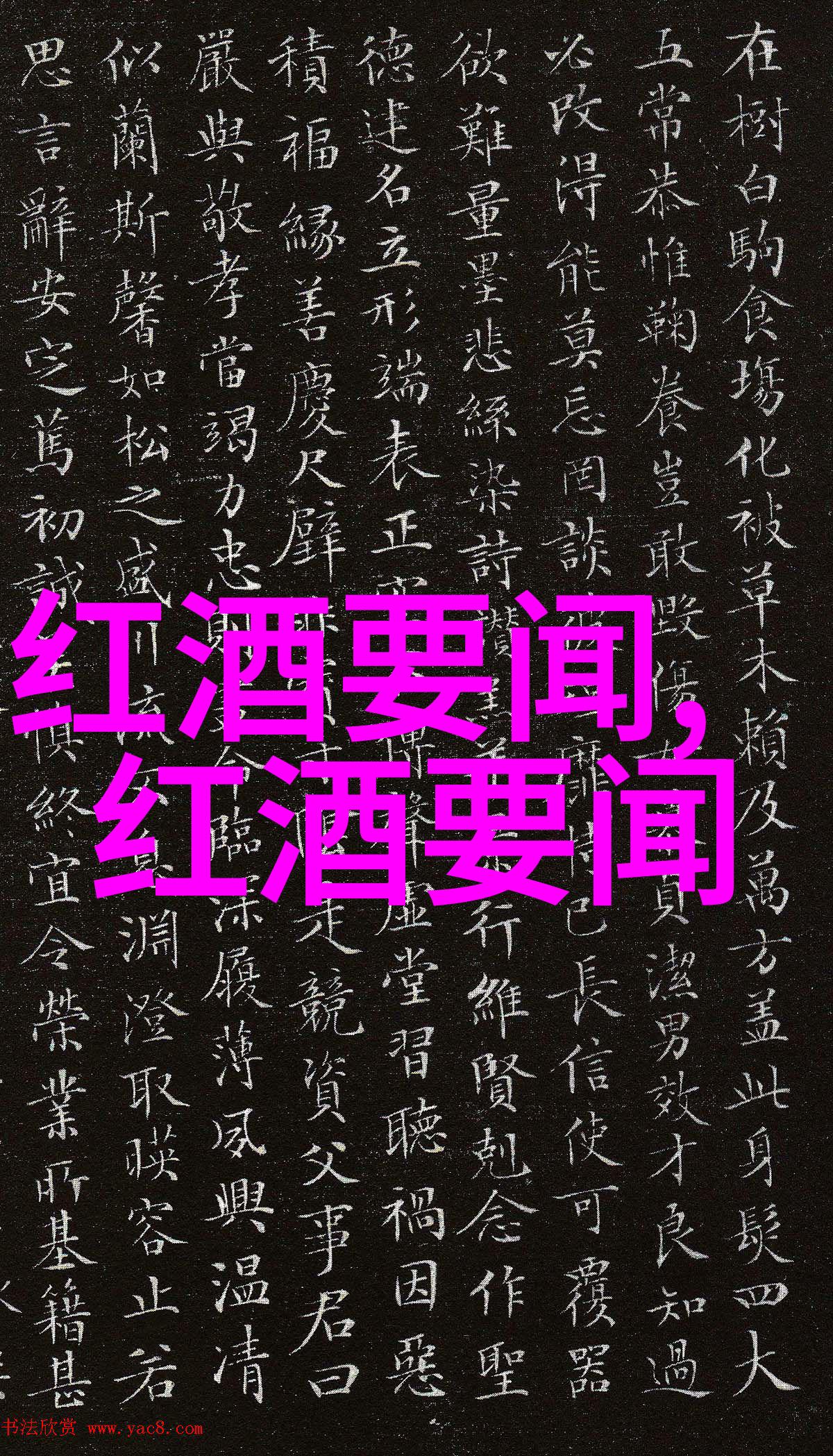 猫品种图片揭秘它们的神秘世界