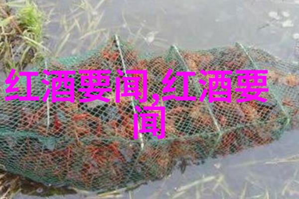 探秘巴斯克酒庄Vina Los Vascos的葡萄收获之旅