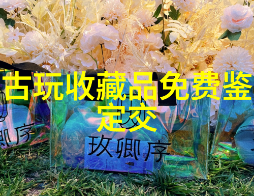 上海二次元周边店的秘密之门揭开那些隐藏在繁华大街下的奇妙世界