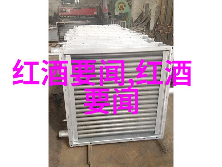 小鸡蛋视频精彩瞬间探索网络红人文化与娱乐内容的新趋势