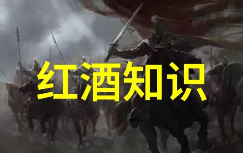 新冠后的旅行热点为什么夏威夷成为了明年度假首选