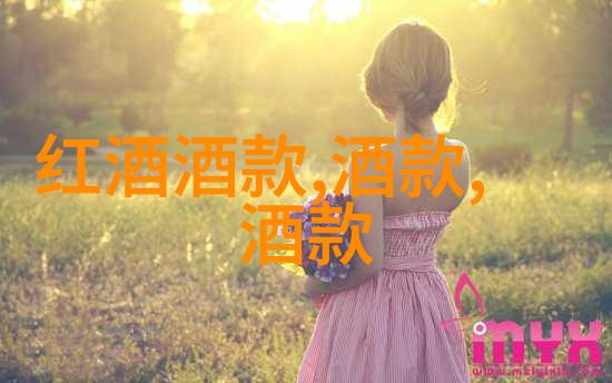 醉心佳酿探索红酒会的主题盛宴