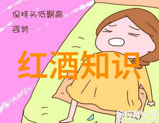 法国有几个葡萄酒产区我来告诉你一个秘密法国的葡萄酒产区多到数不胜数