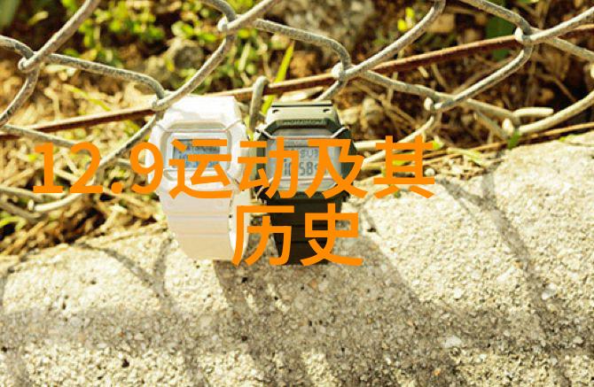 南泥湾的逆袭从荒芜到繁荣的开荒历程